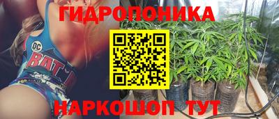 прущие грибы Можга