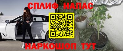 прущие грибы Можга