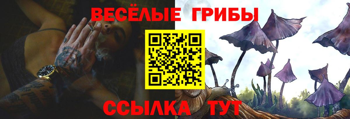 Псилоцибиновые грибы прущие грибы  Псилоцибиновые грибы GOLDEN TEACHER  Кудымкар  Вход с VPN 